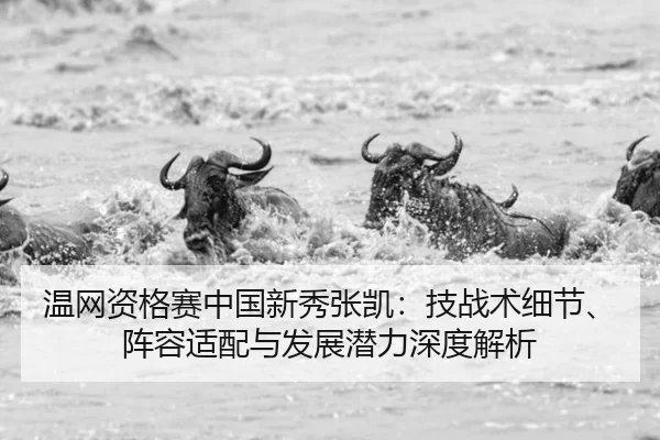 温网资格赛中国新秀张凯：技战术细节、阵容适配与发展潜力深度解析